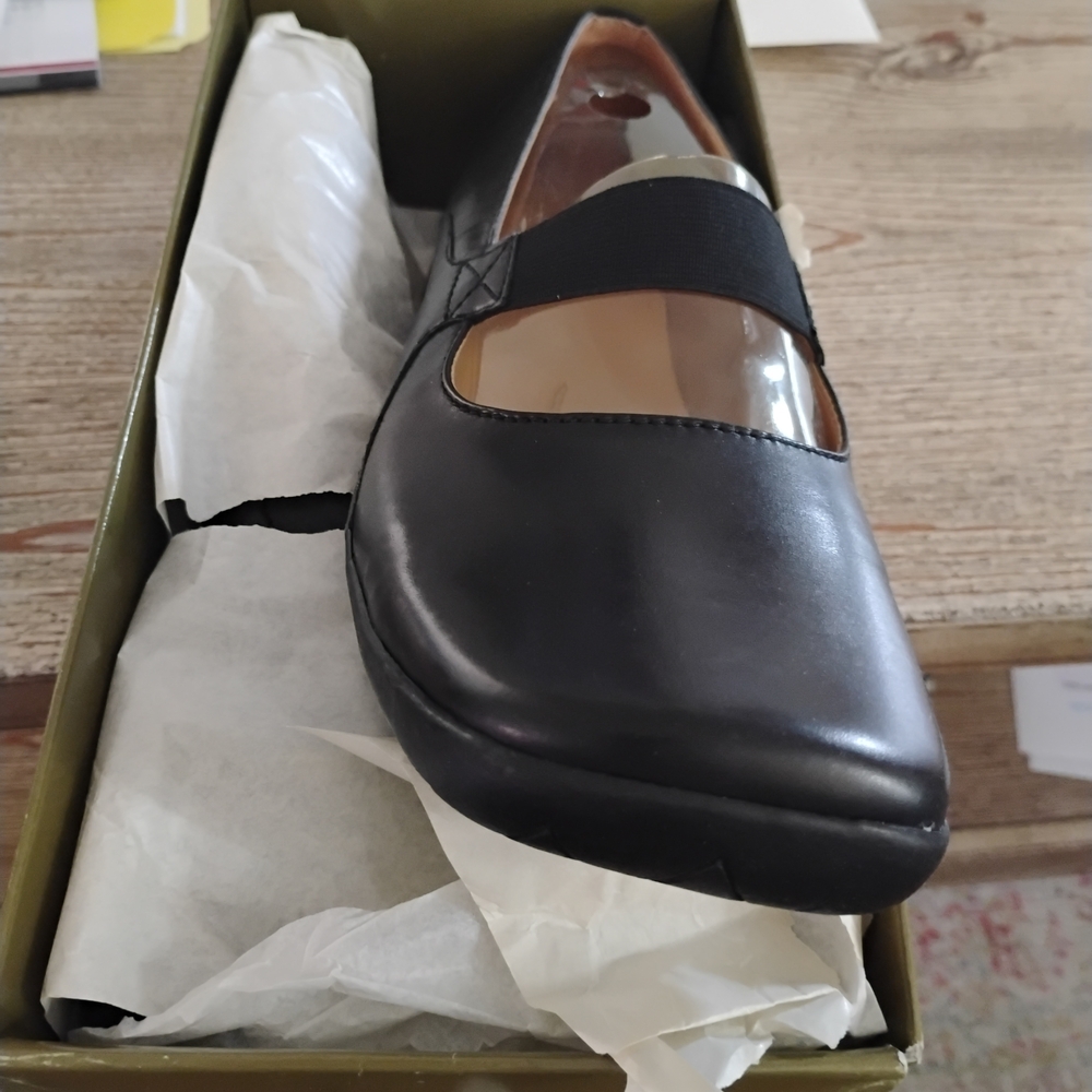Caslon Elegant Black Women's Shoe